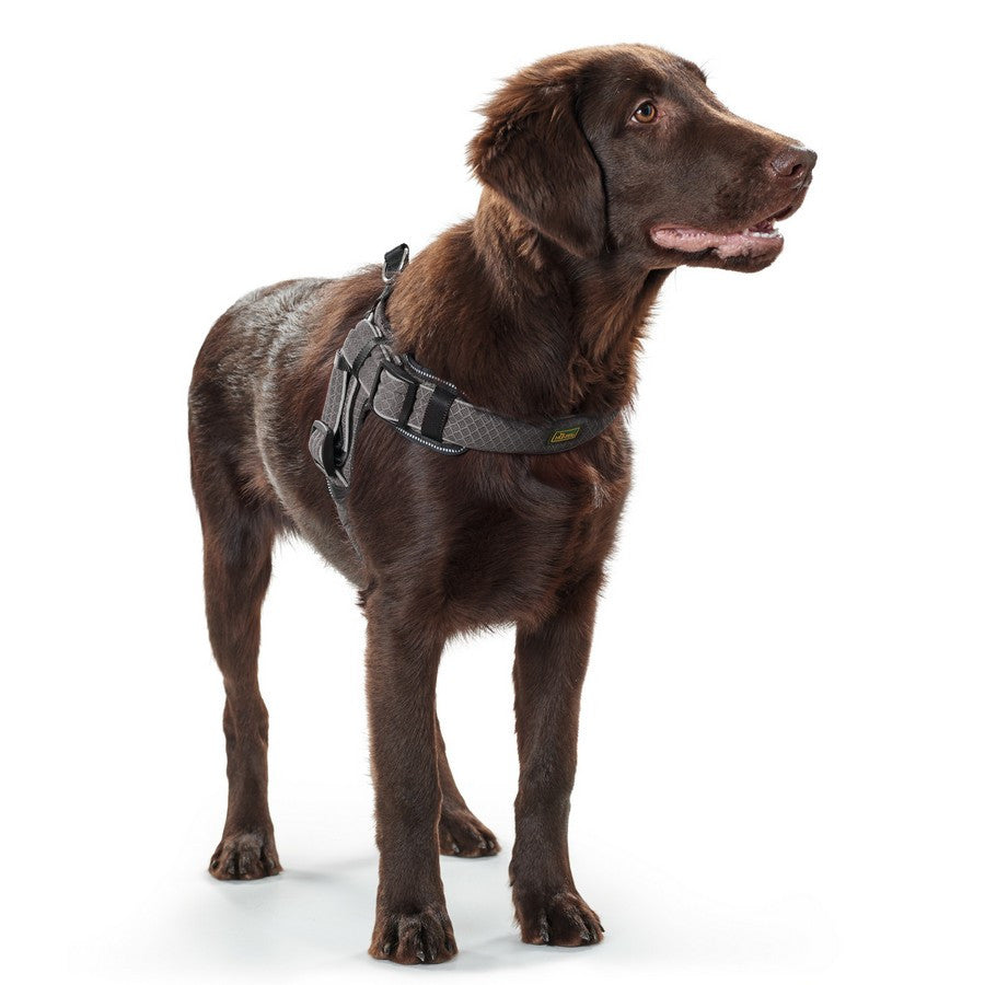 Hunter Manoa Vario Quick Light Grey Harness - Fernie's Choice Classic Country Wear for Dogs