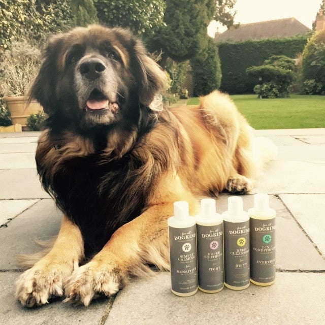 Sensitive & Calming Shampoo - Fernie's Choice Classic Country Wear for Dogs