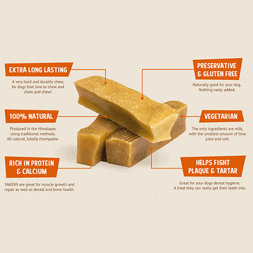 Yak snack best sale dog chews