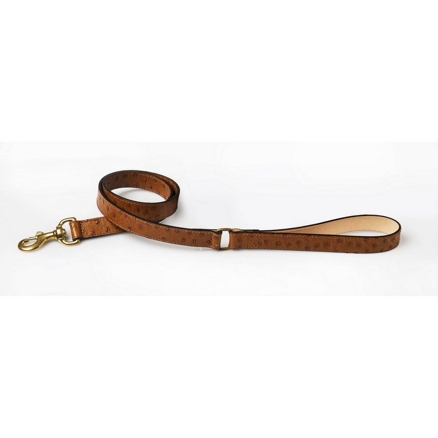 Da Vinci Luxury Leather Dog Lead - Fernie's Choice Classic Country Wear for Dogs