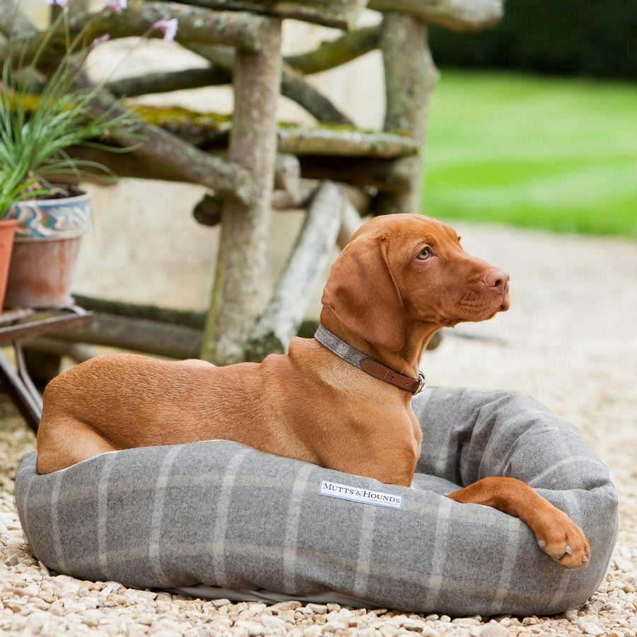 Slate Tweed Donut Bed - Fernie's Choice Classic Country Wear for Dogs