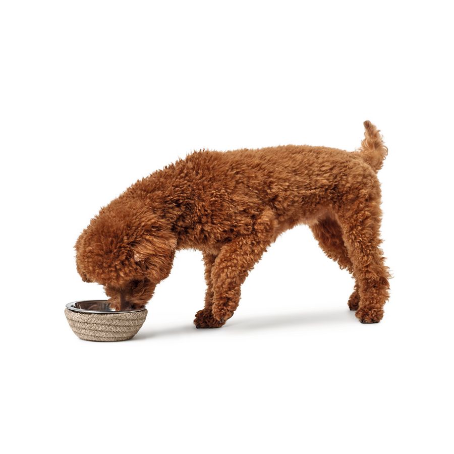 Hunter Feeding bowl Graz - 350ml Nature - Fernie's Choice Classic Country Wear for Dogs