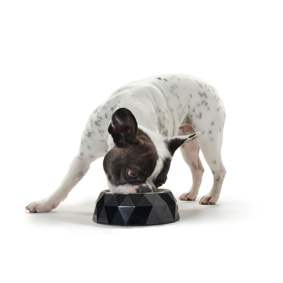Hunter Feeding bowl Kimberley - Black - Fernie's Choice Classic Country Wear for Dogs