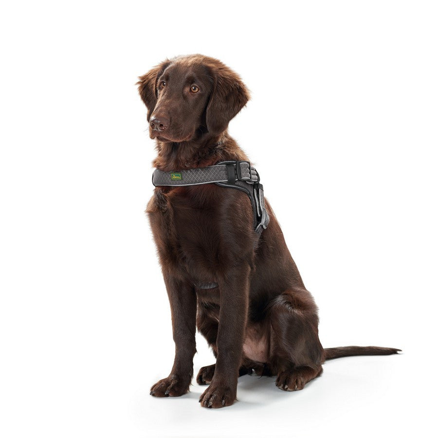 Hunter Manoa Vario Quick Light Grey Harness - Fernie's Choice Classic Country Wear for Dogs