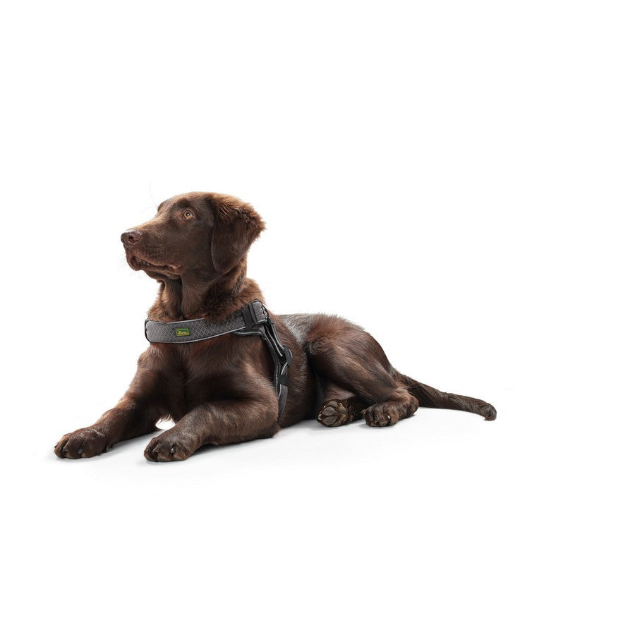 Hunter Manoa Vario Quick Light Harness - Fernie's Choice Classic Country Wear for Dogs