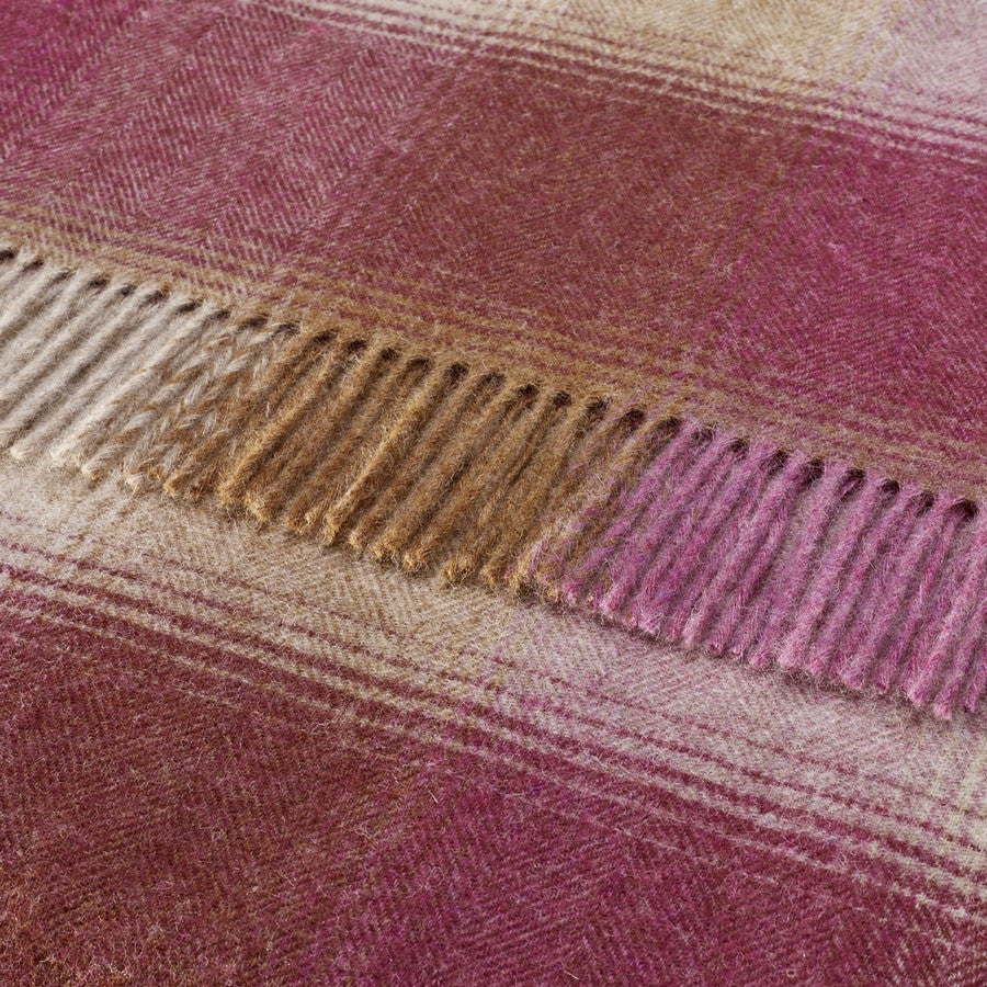 Bronte By Moon Throw - Shetland Kilnsey Berry - Fernie's Choice Classic Country Wear for Dogs