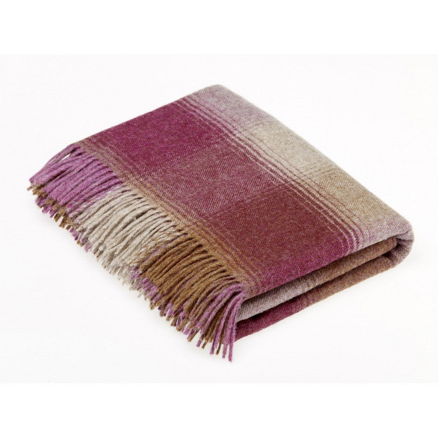 Bronte By Moon Throw - Shetland Kilnsey Berry - Fernie's Choice Classic Country Wear for Dogs