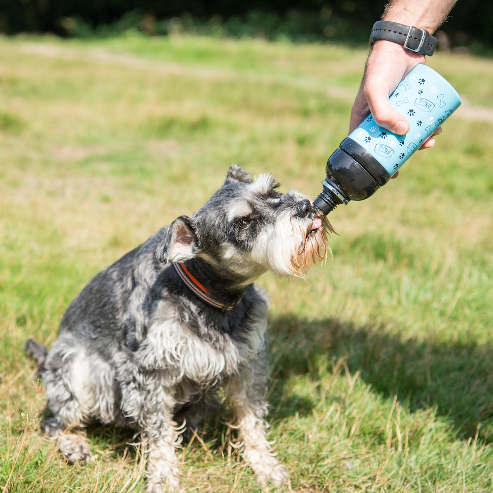 Pet Water Bottle - Friend. - Fernie's Choice Classic Country Wear for Dogs
