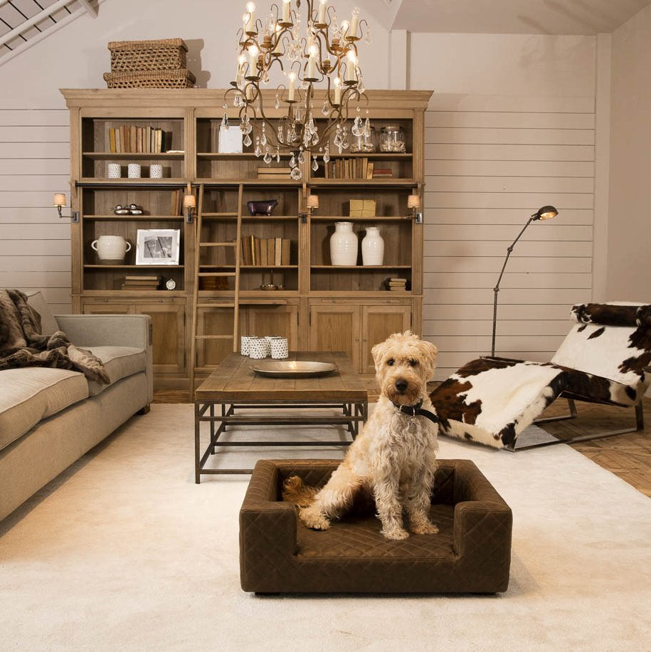 Lord Lou Luxury Dog Bed - Edoardo Faux Brown Leather Bed - Fernie's Choice Classic Country Wear for Dogs