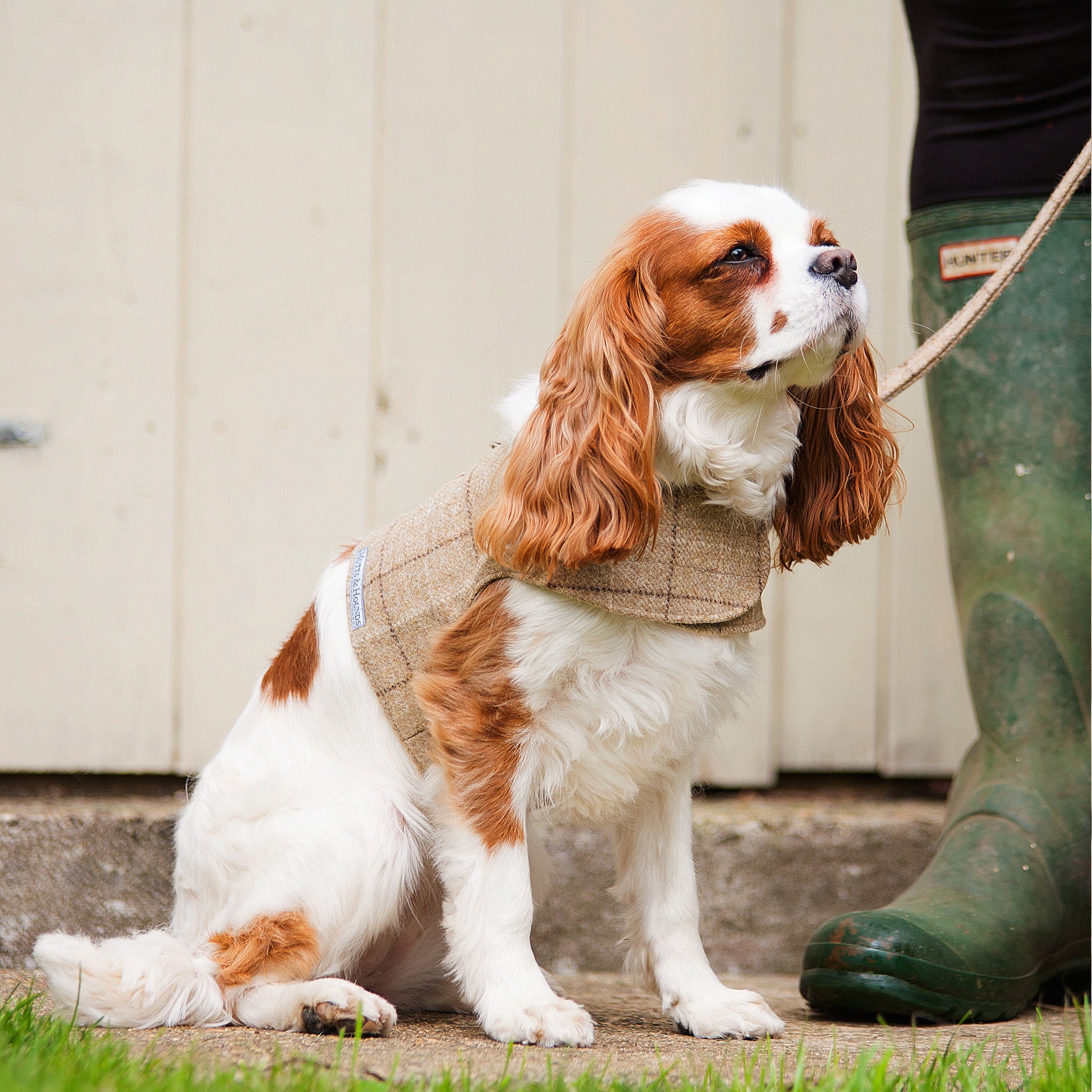 Oatmeal Check Tweed Harness Large - Fernie's Choice Classic Country Wear for Dogs