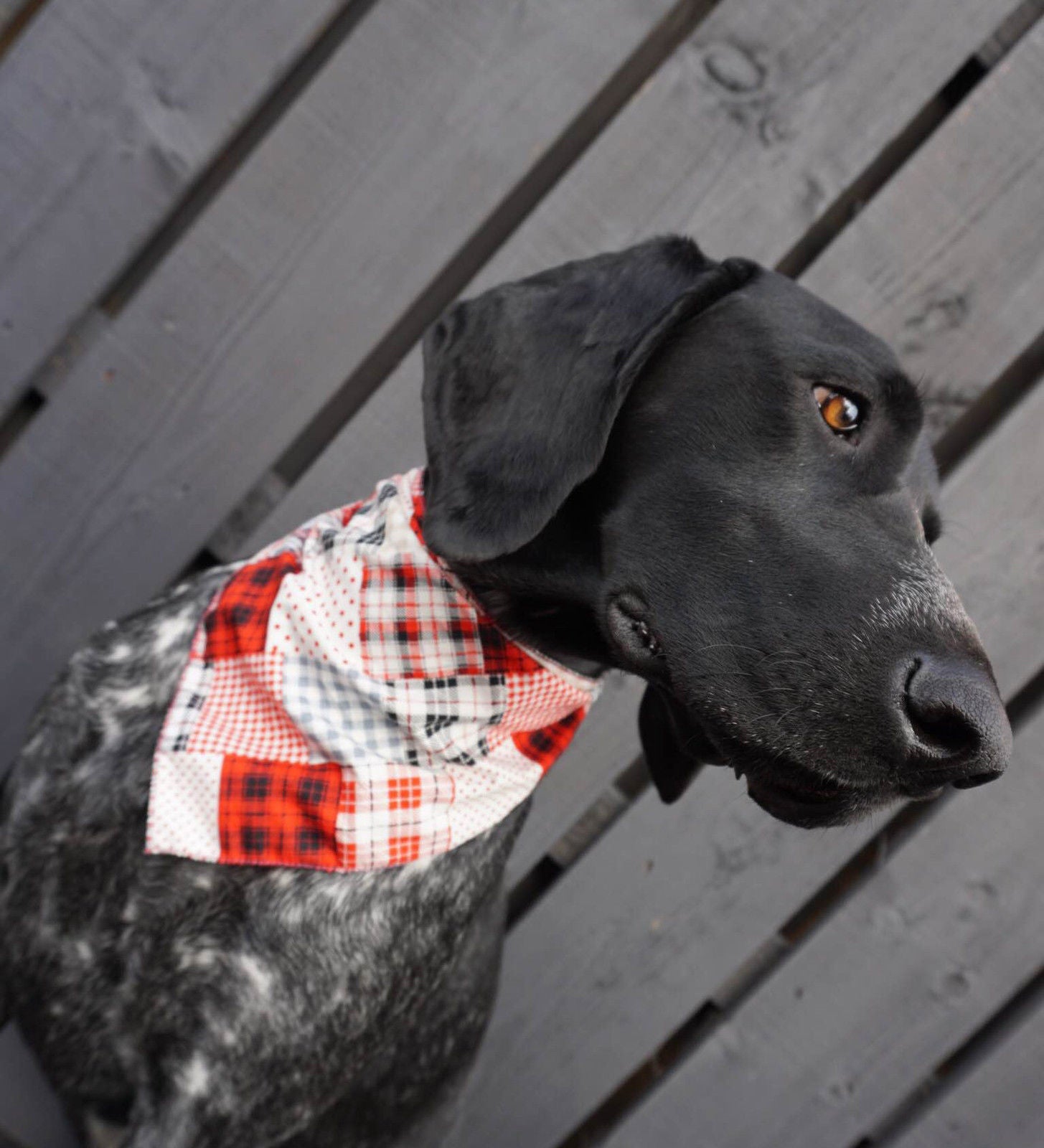 *Patchwork Pete Dog Bandana - Fernie's Choice Classic Country Wear for Dogs