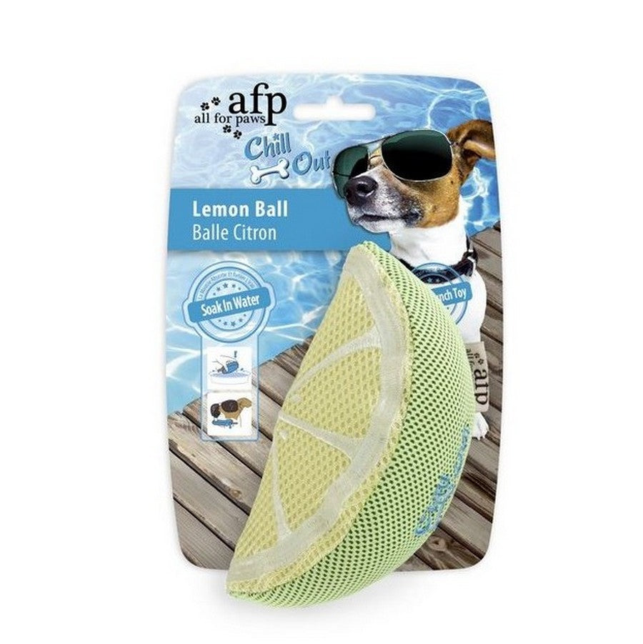 All For Paws Chill Out Kiwi Flyer - Fernie's Choice Classic Country Wear for Dogs