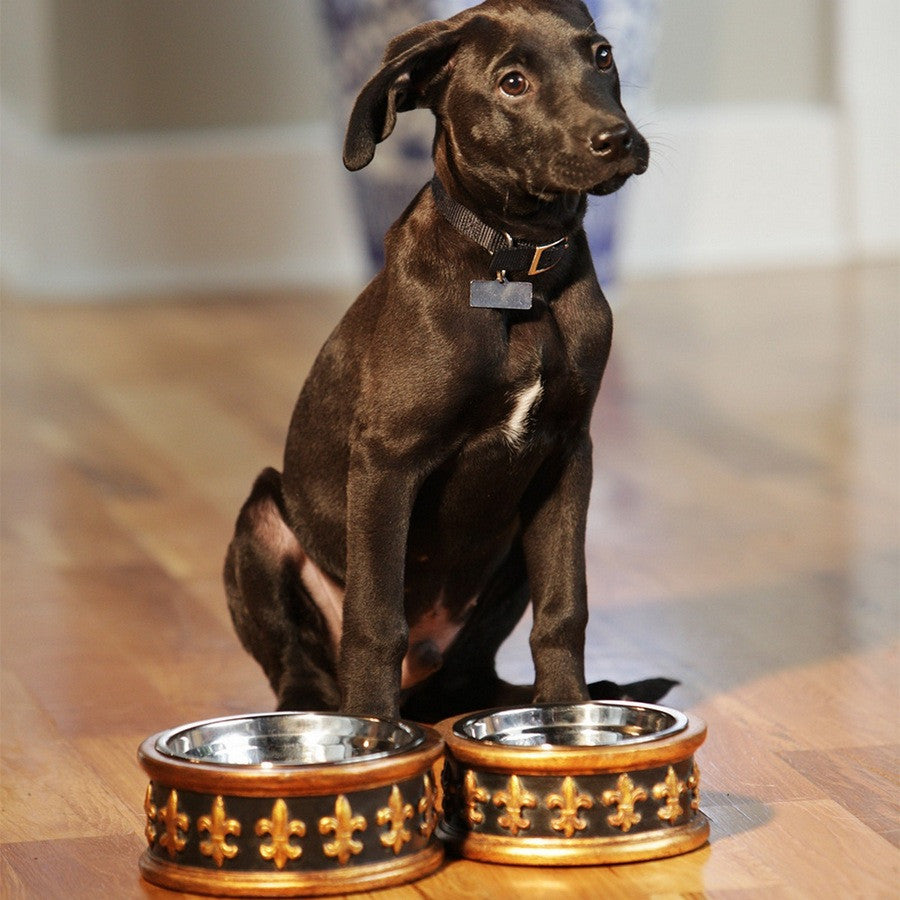 Chartres Designer Fleur de Lys Dog Bowls - Fernie's Choice Classic Country Wear for Dogs