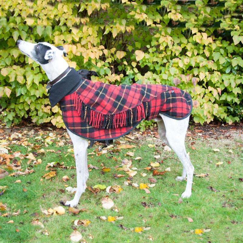 Crystal Wolf Dog Coats - Fernie's Choice Classic Country Wear for Dogs