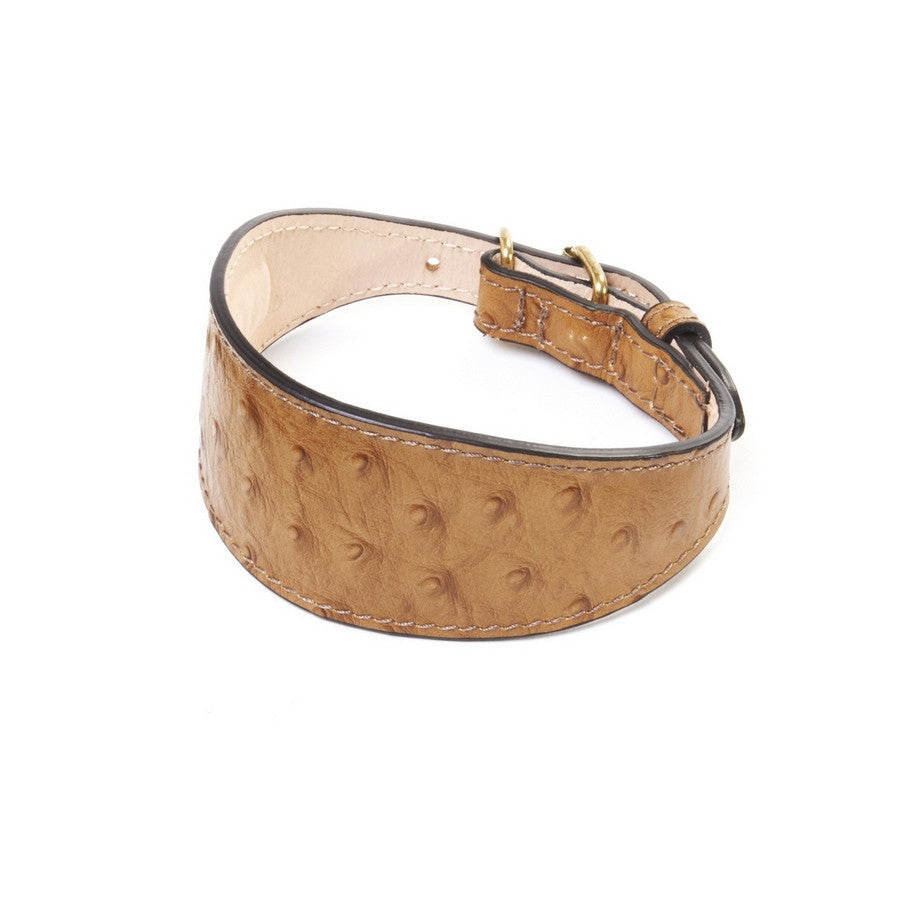 Da Vinci Luxury Leather Dog Lead - Fernie's Choice Classic Country Wear for Dogs