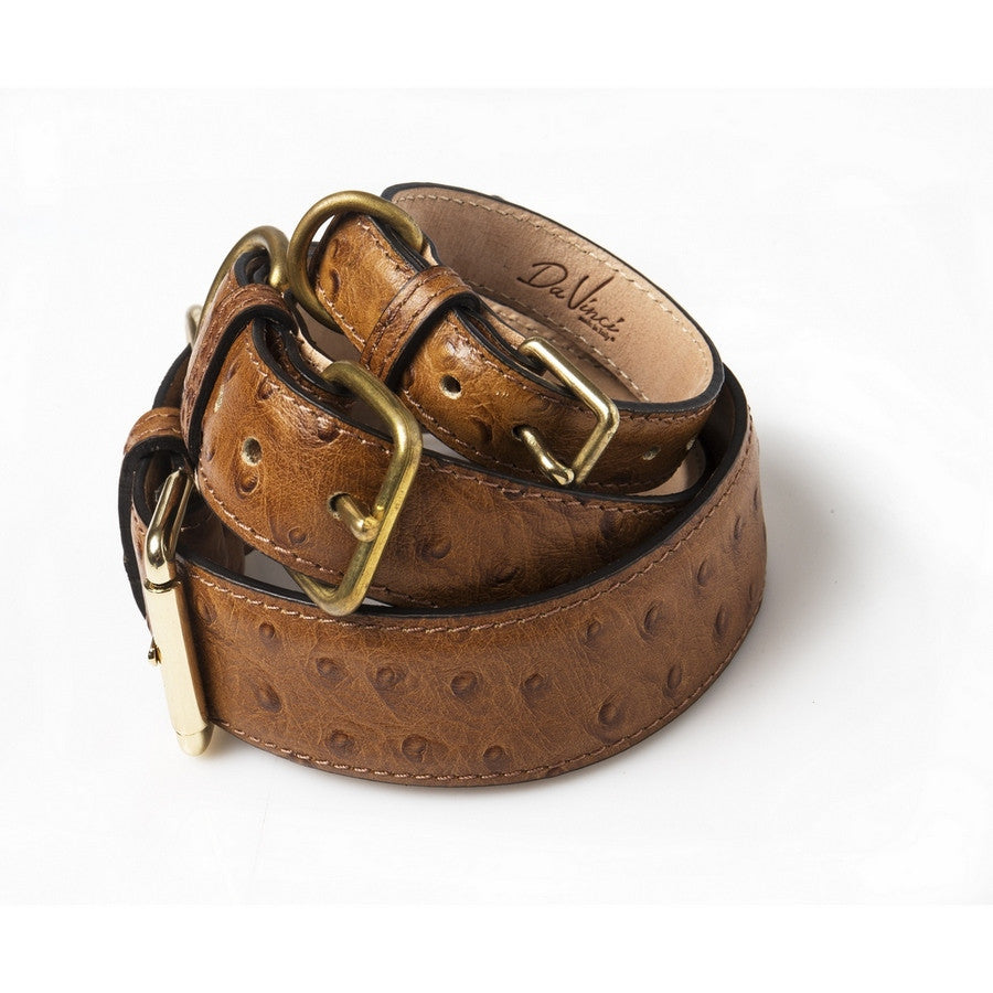 Da vinci dog collar 2025