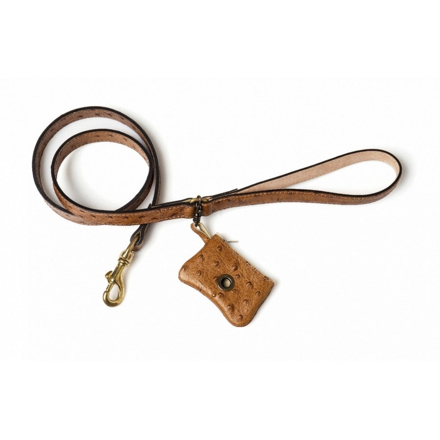 Da Vinci Luxury Leather Dog Lead - Fernie's Choice Classic Country Wear for Dogs