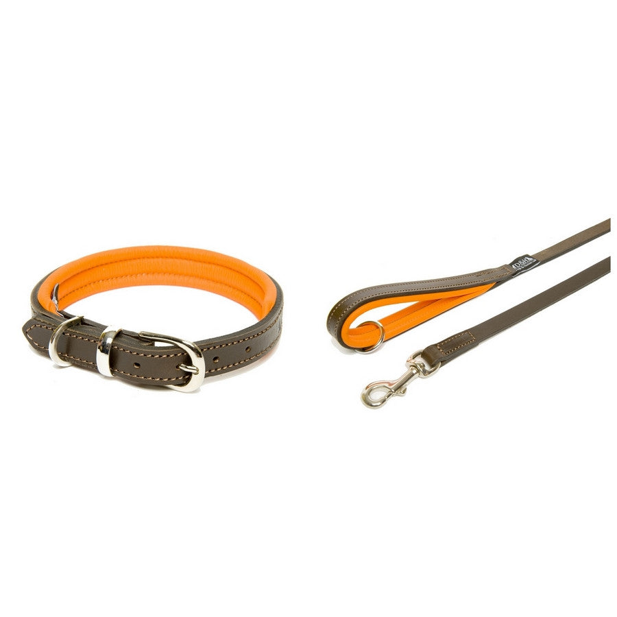 Dogs & Horses Luxury Orange Padded Leather Dog Collar - Fernie's Choice Classic Country Wear for Dogs