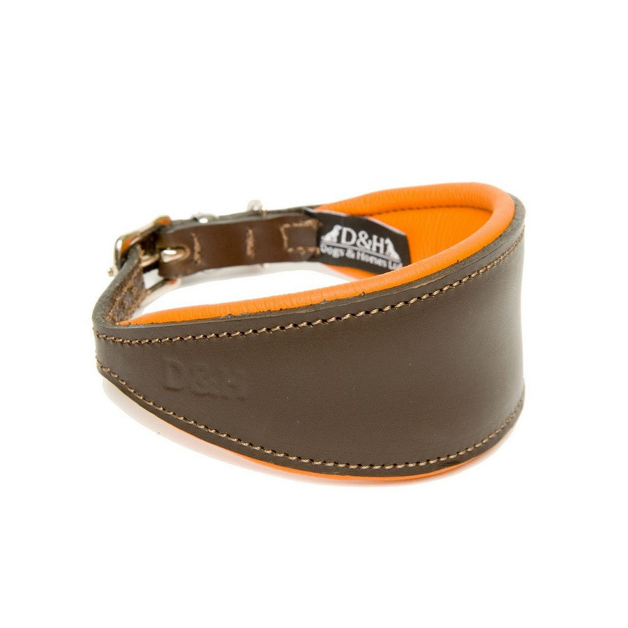 Dogs & Horses Orange Greyhound Padded Leather Collar - Fernie's Choice Classic Country Wear for Dogs
