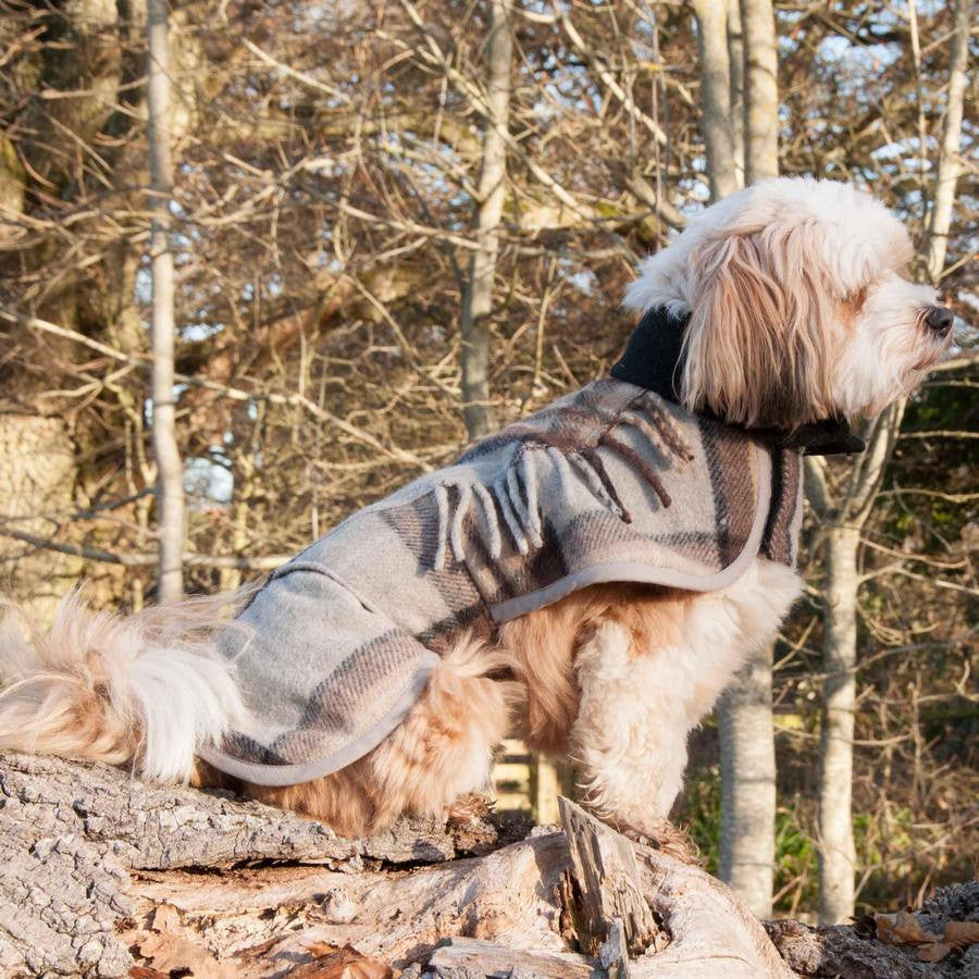 Crystal Wolf Dog Coats - Fernie's Choice Classic Country Wear for Dogs