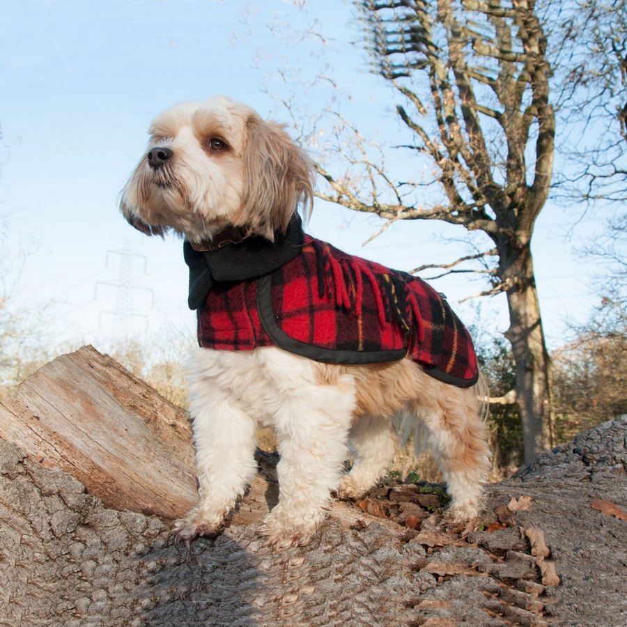 Crystal Wolf Dog Coats - Fernie's Choice Classic Country Wear for Dogs