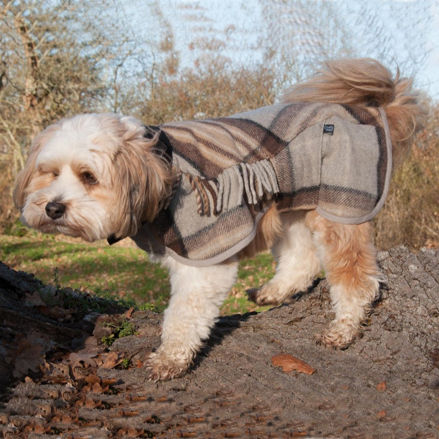 Crystal Wolf Dog Coats - Fernie's Choice Classic Country Wear for Dogs
