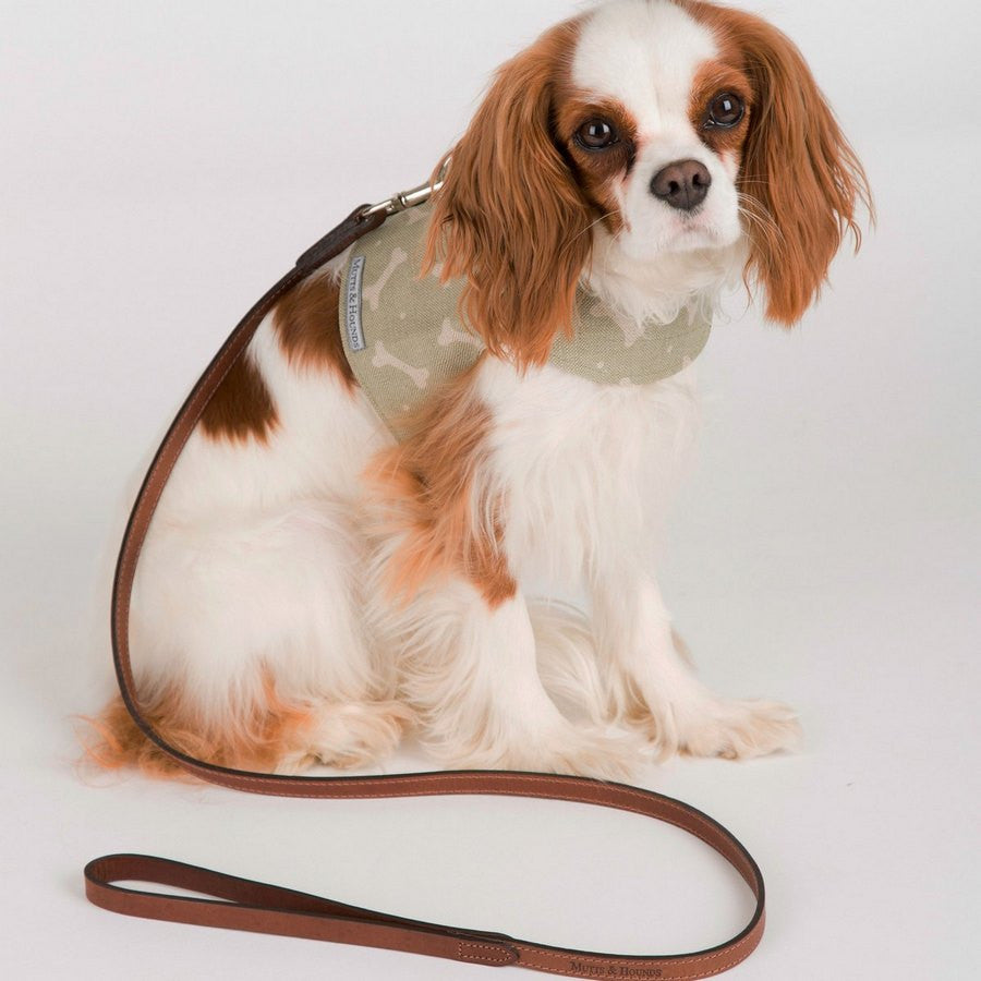 Tan Leather Lead - Slim/Wide - Fernie's Choice Classic Country Wear for Dogs