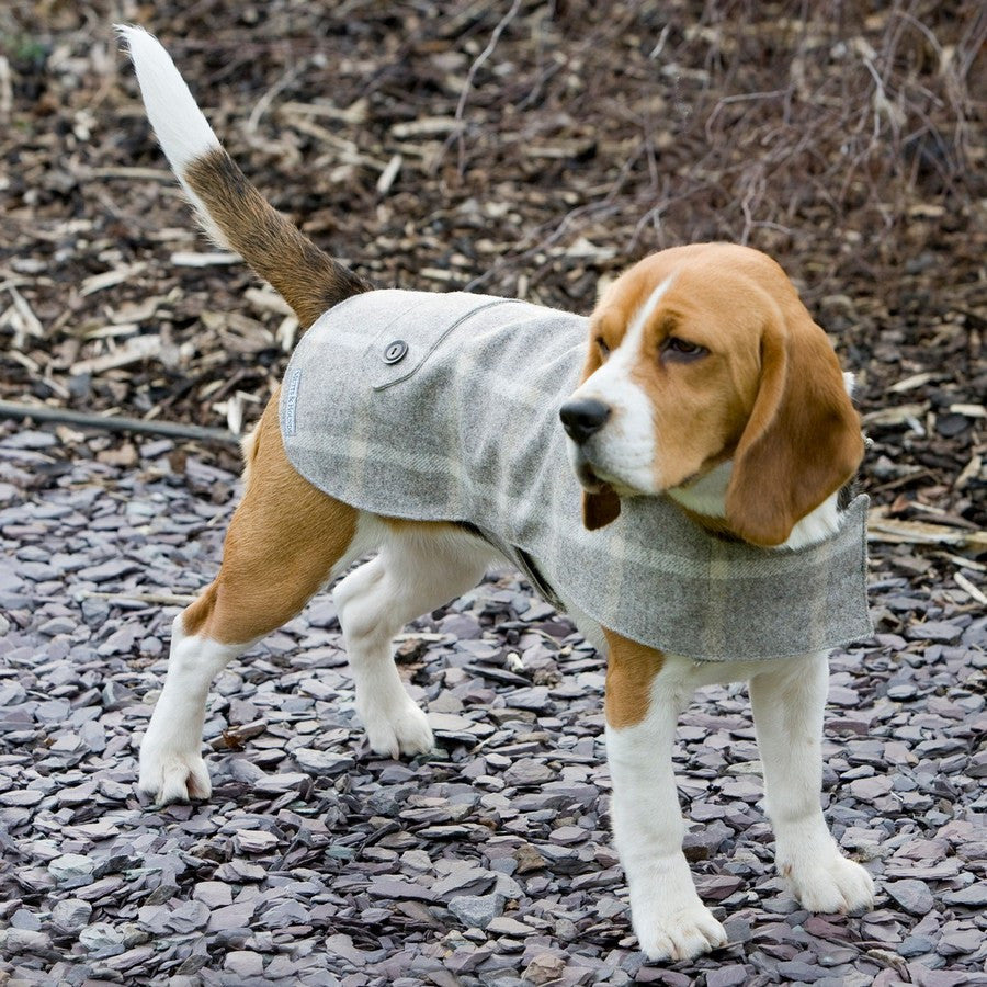 Slate Tweed Coat - Fernie's Choice Classic Country Wear for Dogs