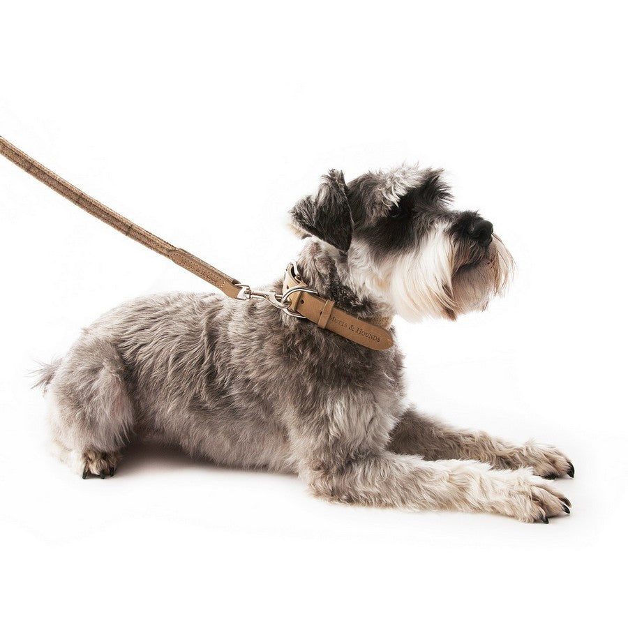 Oatmeal Check Tweed Dog Lead - Fernie's Choice Classic Country Wear for Dogs