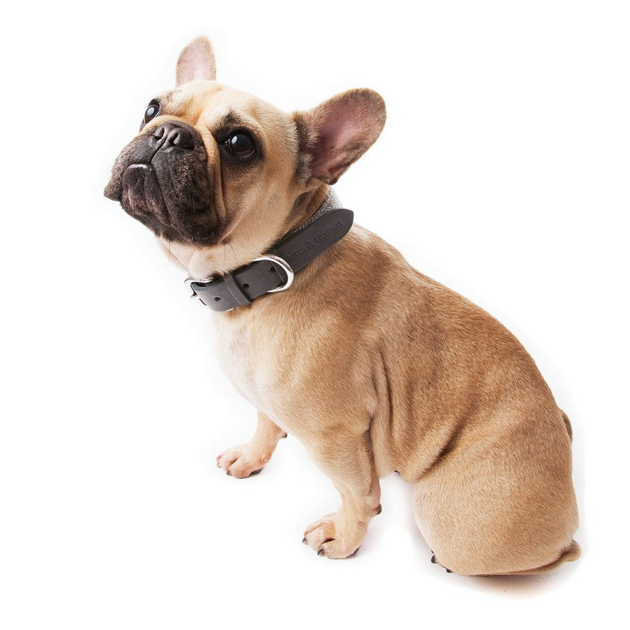 Luxury Stoneham Grey Tweed Dog Collar - Fernie's Choice Classic Country Wear for Dogs