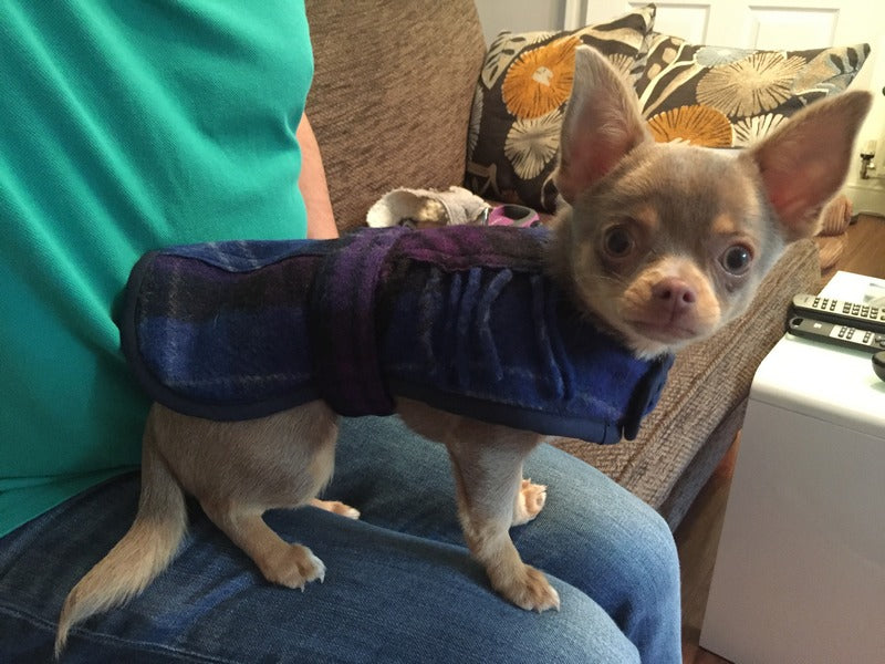 Crystal Wolf Dog Coats - Fernie's Choice Classic Country Wear for Dogs