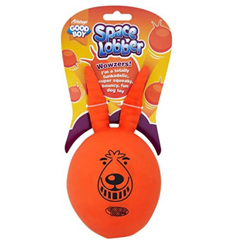 Space Lobber Squeaking Dog Toy - Fernie's Choice Classic Country Wear for Dogs